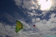 RIMINI 2012 - 202